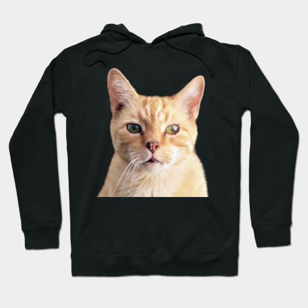 Ginger Cat Head Shot Hoodie by PLANTONE